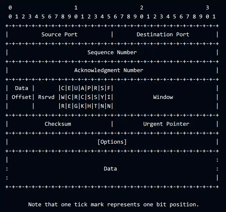 TCP segment and header format